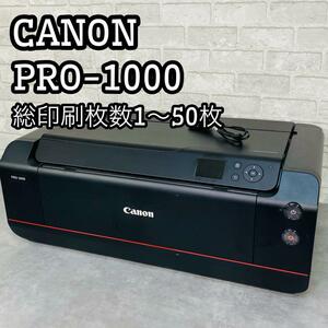 キヤノン Canon インクジェット大判プリンター PRO-1000