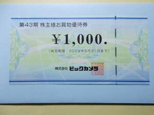 ビックカメラ　8000円分　株主優待券　5月末期限