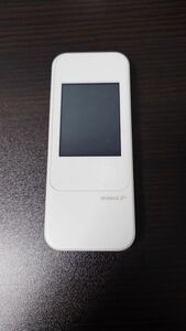 HUAWEI TECHNOLOGIES W04 