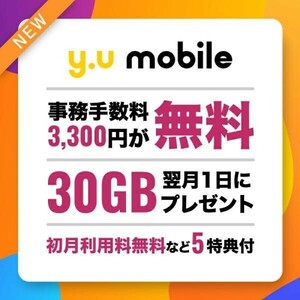 【コード通知】y.u mobile / yu mobile / ワイユーモバイル エントリーパッケージ 【実物発送なし】