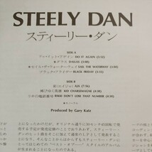 スティーリーダン　LP ジャケット　 山口小夜子_画像4