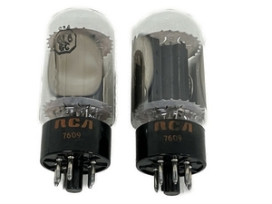 RCA 6L6GC 2本セット 真空管 音響機材 オーディオ ジャンク S8833238