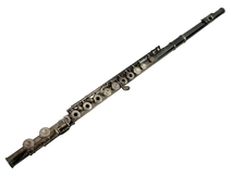 【動作保証】 SANKYO FLUTE PRIMA ETUDE MFG CO SAYAMA フルート 管楽器 楽器 中古 T8862973_画像1