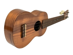 【動作保証】 G String ウクレレ Halawa Valley Hawaii ケース付 ジーストリング 弦楽器 中古 T8780807