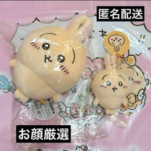 ちいかわ　ぷちミニマスコット　うさぎ　もちっとぬいぐるみS ちいかわ