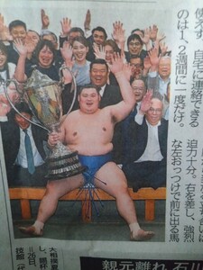 大の里 最速初優勝　静岡新聞2024年5/27掲載 特集記事（15面19面）4つ折り発送