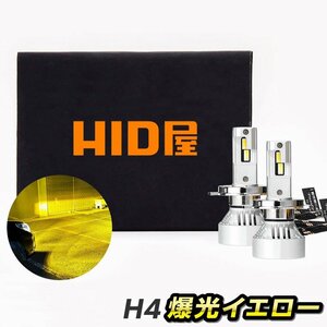 【半額SALE！】早い者勝ち！【安心保証】送料無料 HID屋 LED 爆光 フォグランプ イエロー 10400lm H8/H11/H16 車検対応 エルグランドに