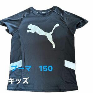 PUMA プーマ　キッズ　半袖Tシャツ　150