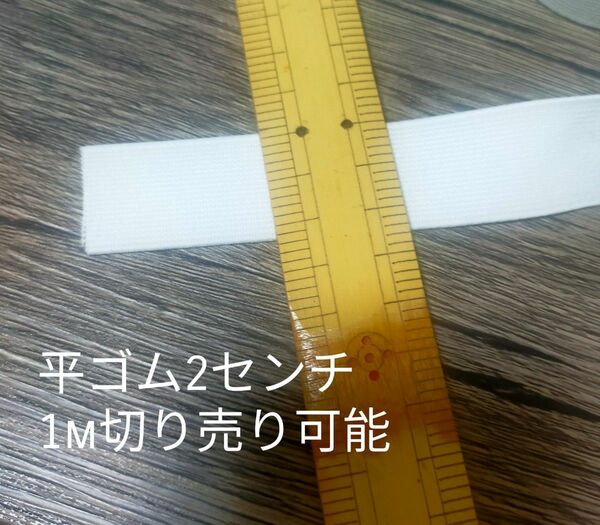 平ゴム2.3センチ1m