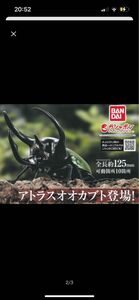 BANDAI いきもの大図鑑 カブトムシ06 アトラスオオカブト（新品）