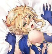 【送料無料】【匿名配送】FGO Fate アルトリア ランサー 抱き枕カバー