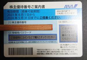 直近 2024年5月31日まで有効☆1枚のみ☆ANA株主優待券