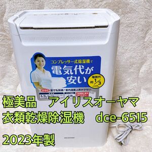 極美品　アイリスオーヤマ　衣類乾燥除湿機　dce-6515 2023年製