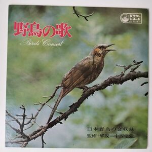 26646 日本野鳥の会収録/野鳥の歌 2枚組