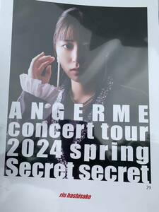 【橋迫鈴・29】コレクションピンナップポスター ピンポス Hello! Project アンジュルム concert tour 2024 spring　「Secret secret」