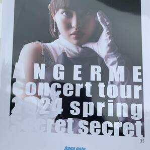 【後藤花・35】コレクションピンナップポスター ピンポス Hello! Project アンジュルム concert tour 2024 spring 「Secret secret」の画像1