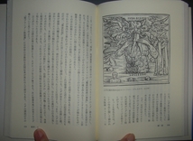 『聖ブランダン航海譚　中世のベストセラーを読む』藤代幸一訳　法政大学出版局★ドイツ民衆本、キリスト教、聖パトリック、アイルランド_画像8