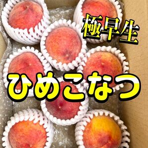 桃　ひめこなつ　約600g 小さい希少桃　ご家庭用