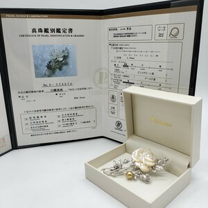 1 jpy ~ pearl . Gakken . place judgement document attaching south . pearl White Butterfly Golden pearl brooch Aurora tea gold 8.9mm SILVER stamp book@ pearl white chou most high quality 
