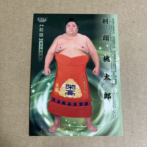 BBM2024 大相撲カード 剣翔 レギュラーカード