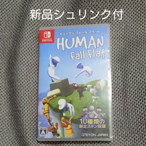 Switch　ヒューマン フォール フラット