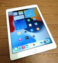 ＜518H-YP＞iPad Air 2 128GB/Wi-Fi+Cellular A1567 iOS15.8.2 アクティベーションロック解除済 docomo/ドコモ/判定〇_画像1