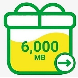 mineo my Neo packet gift approximately 6GB