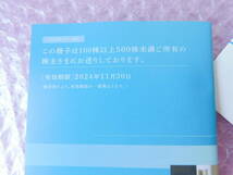 送料無料 匿名 最新 西武ホールディングス　株主優待券　冊子と 株主優待乗車証2枚　100株～500株未満 優待 西武バス 優待 24時間以内発送_画像2