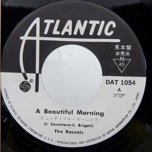 The Rascals「A Beautiful Morning / Rainy Day」EP（7インチ）/Atlantic(DAT-1054)/洋楽ロックの画像2