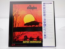 The Stranglers「Stranglers IV (Rattus Norvegicus)」LP（12インチ）/United Artists Records(GP-507)/Rock_画像2