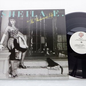 Sheila E.「In The Glamorous Life」LP（12インチ）/Warner Bros. Records(1-25107)/Electronicの画像1