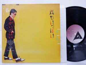 大村憲司「春がいっぱい」LP（12インチ）/Alfa(alr 28013)/邦楽ポップス