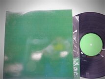 Skankin' Pickle「The Green Album」LP（12インチ）/Dr. Strange Records(DSR-42)/洋楽ロック_画像1