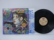 Todd Rundgren「A Wizard A True Star」LP（12インチ）/Bearsville(BR2133)/洋楽ロック_画像1