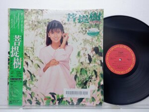 南野陽子「菩提樹 リンデンバウム」LP（12インチ）/CBS/SONY(28AH 5103)/ポップス