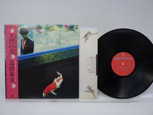 【帯付】近田春夫「天然の美」LP（12インチ）/King Records(SKS 1026)/Electronic