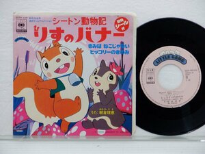 朝倉理恵「シートン動物記 りすのバナー」EP（7インチ）/CBS/Sony(05SH 490)/Pop