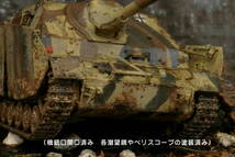 PP工房完成品【1/35「IV号駆逐戦車/L70(A) 第17戦車師団所属 611号車(金属製メッシュ シュルツェン装着)」プロ仕上げ完成品】戦車兵1人搭乗_画像5