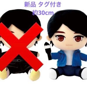 映画 線は、僕を描く 青山霜介 横浜流星 俳優 お座り ぬいぐるみ 約30cm 最安