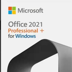 Microsoft Office Professional Plus 2021 