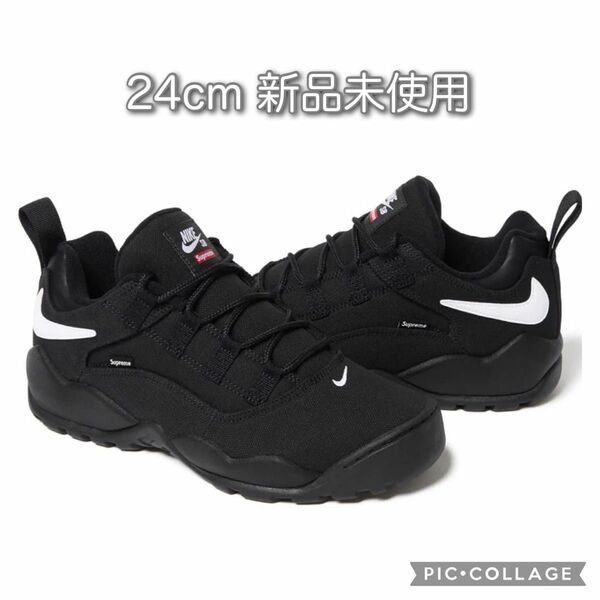 【24】Supreme × Nike SB Darwin Low black