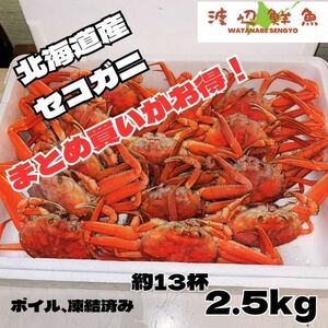 北海道産　激安！メスズワイ蟹13杯　内子も外子も通にはわかる高級品！セコガニ　　香箱ガニ　バルダイ種 ボイル ラスト　蟹　残りわずか