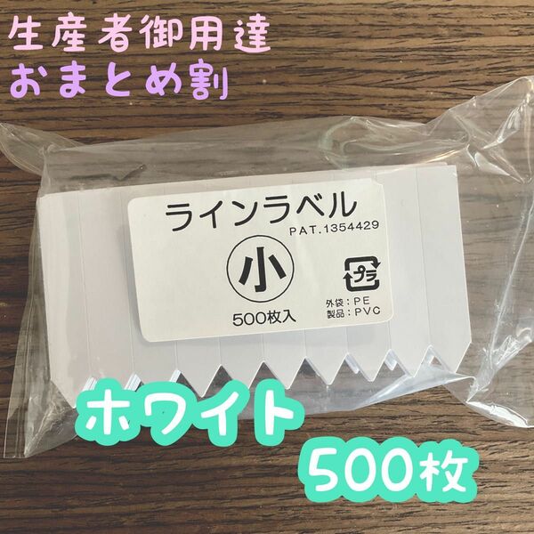 ラインラベル 小 ホワイト 500枚 園芸カラーラベル 多肉植物 エケベリア