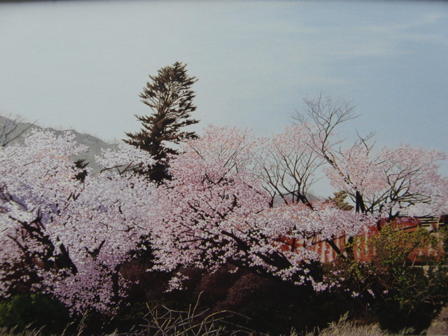 Tomohiro Momose [Spring in the Wilderness], Rare art book, In good condition, Brand new with high-quality frame, free shipping, Western painting, oil painting, landscape, Zer, Painting, Oil painting, Nature, Landscape painting