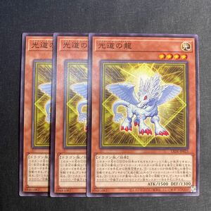 A054】光道の龍 ノーマル 3枚セット 遊戯王 デュエルモンスターズ TCG トレカ カード