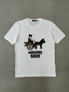 ドルチェ&ガッバーナ 刺繍 ロゴ Tシャツ ホワイト 48 Dolce&Gabbana 半袖Tシャツ ロゴシャツ プリントTシャツ カットソー クルーネック 白