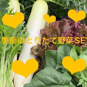 野菜SET+びわ　80サイズ