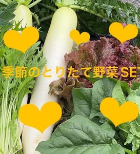 野菜SET+びわ　80サイズ