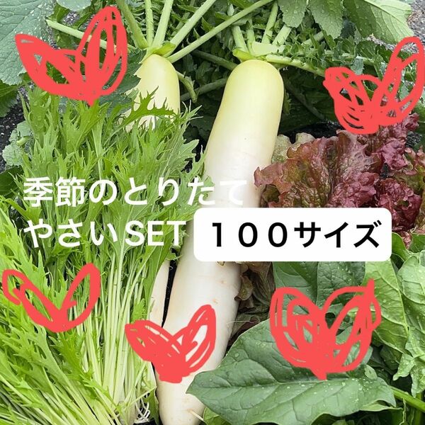 野菜SET１００サイズ