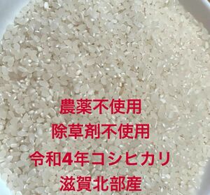 滋賀　近江　コシヒカリ　農薬不使用　白米　1.7kg 令和4年　古米　お試し　米　こしひかり　ポイント消化　クーポン消化